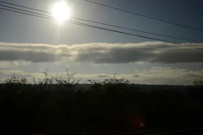 DSC_7176 (Large).JPG